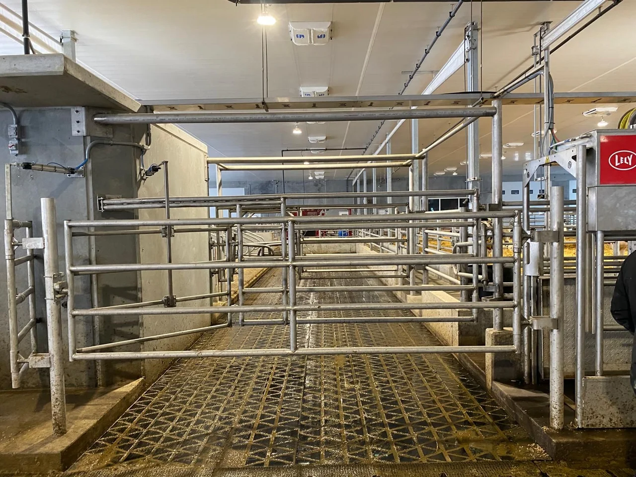 Dairy Barn Gates & Partitions
