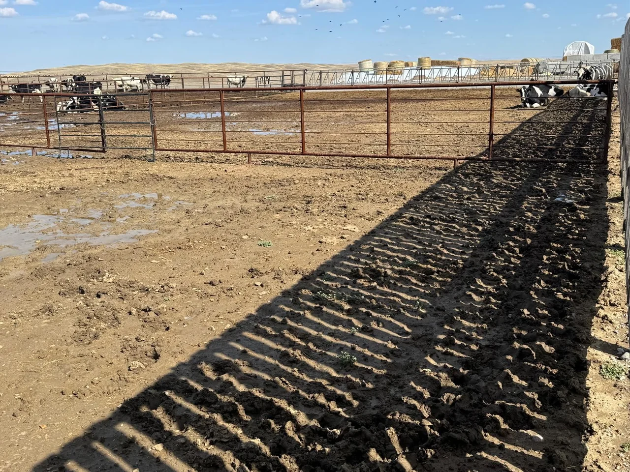 Texas Gate Crossing
